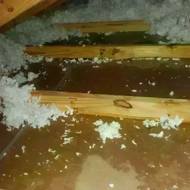 Attic Water Damage in Carthage, NY